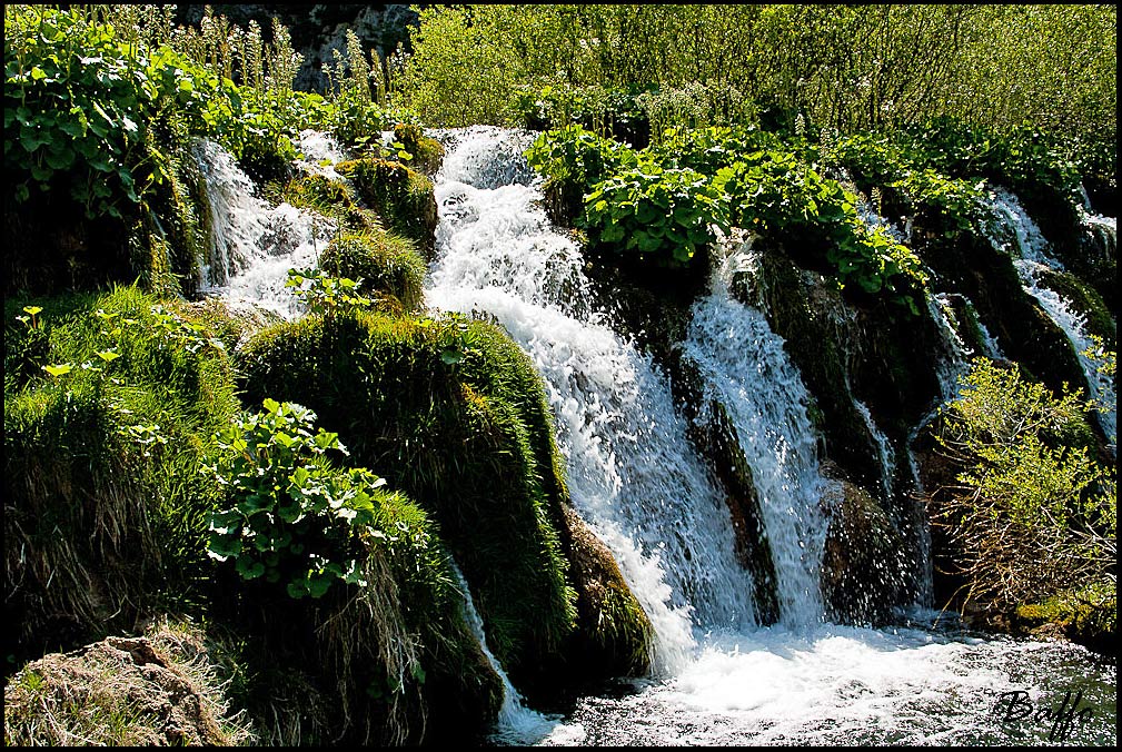 Laghi di Plitvice-Croazia-